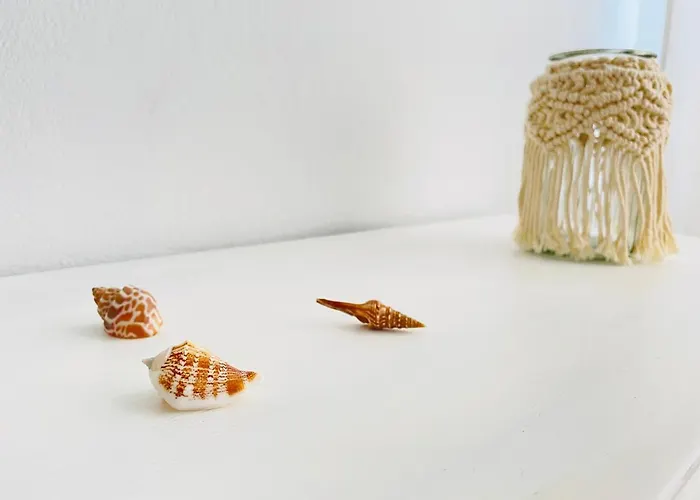 El Coral 아파트 *