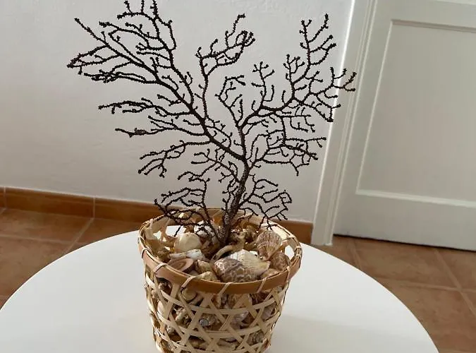 El Coral Caleta de Caballo