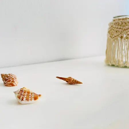 El Coral Appartement *